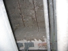 img_0805 img_0805