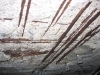 img_0811 img_0811